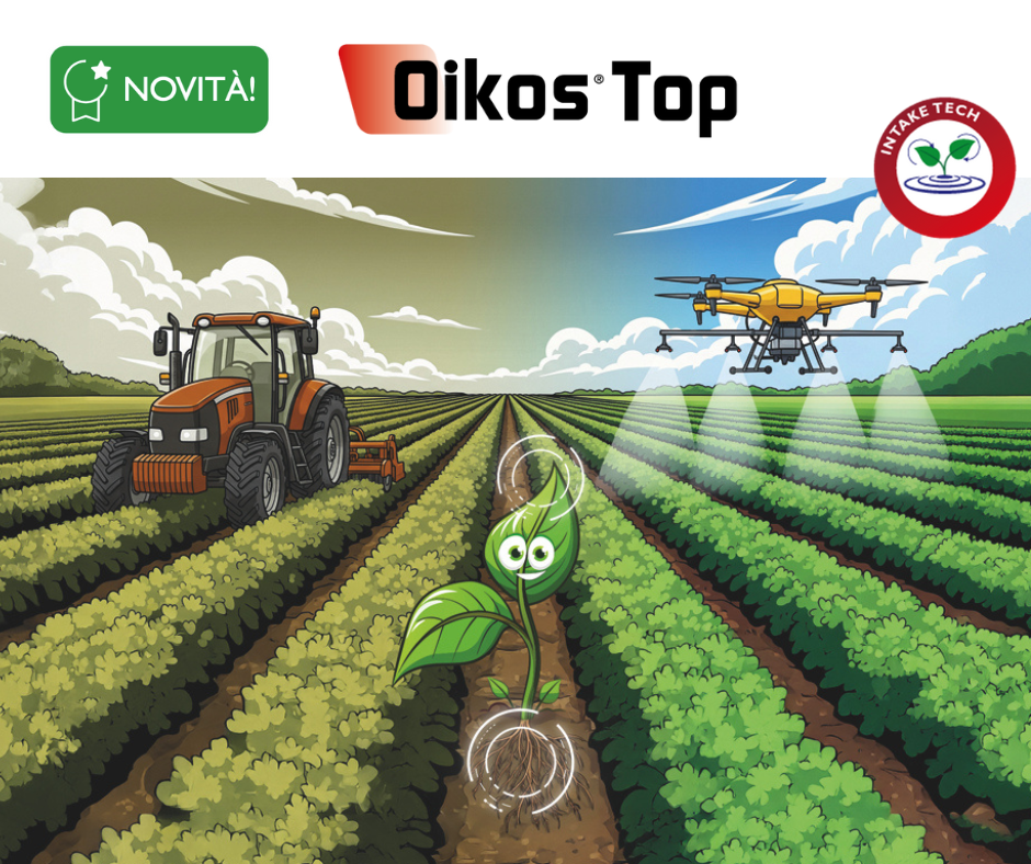 Oikos Top: tutti i vantaggi delle miscele con fisioattivatori